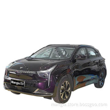 Adult Electric Vehicle Family Small SUV China Electric Vehicle 2022 New High quality Second hand Cheap 4-wheel 5-seat Neta u